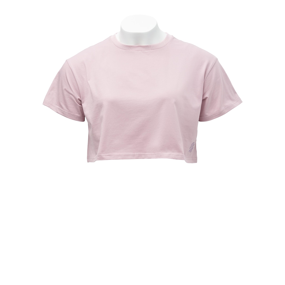BlenderBottle Cropped T-Shirt Y25O